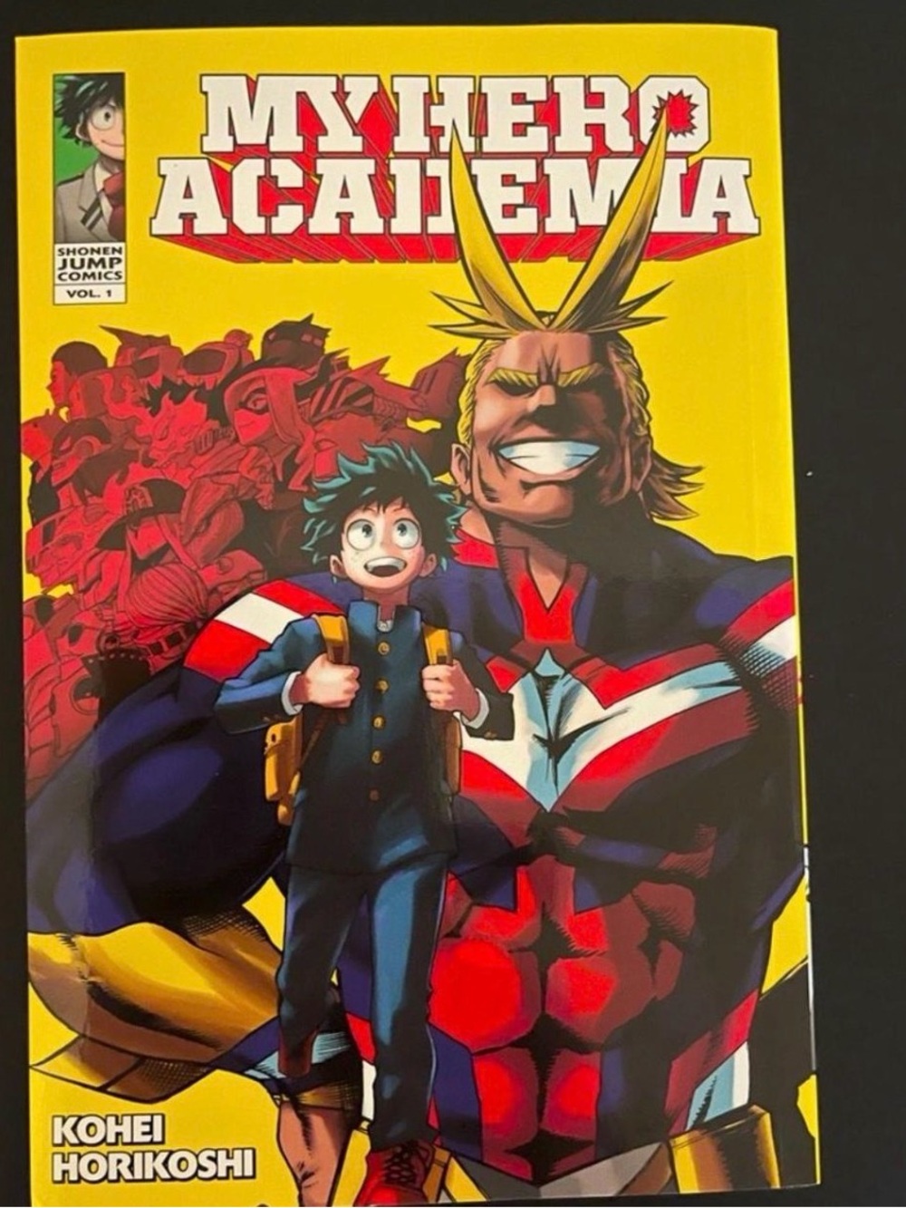My Hero Academia Book
